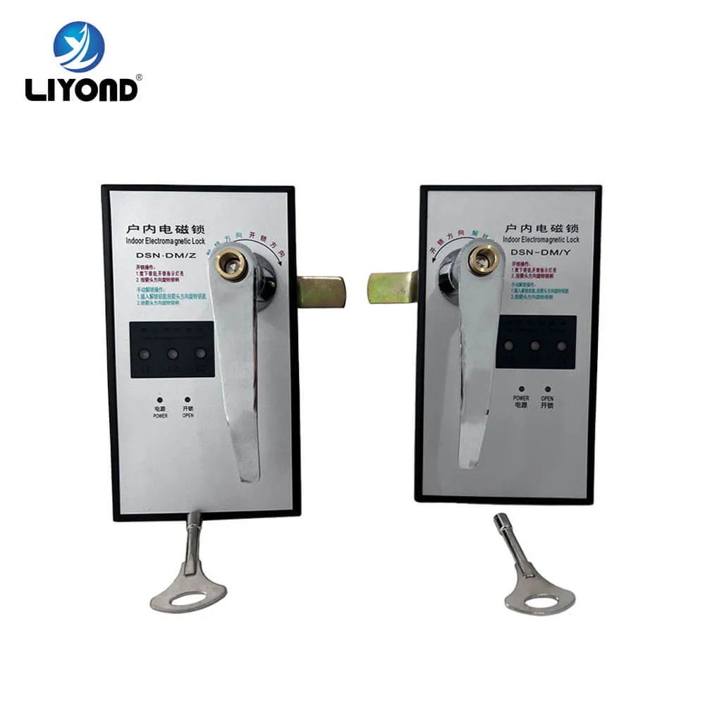 Indoor Electromagnetic Lock Dsn-Dm Type Left Open/Right Open AC/DC220V/110V with Display Function